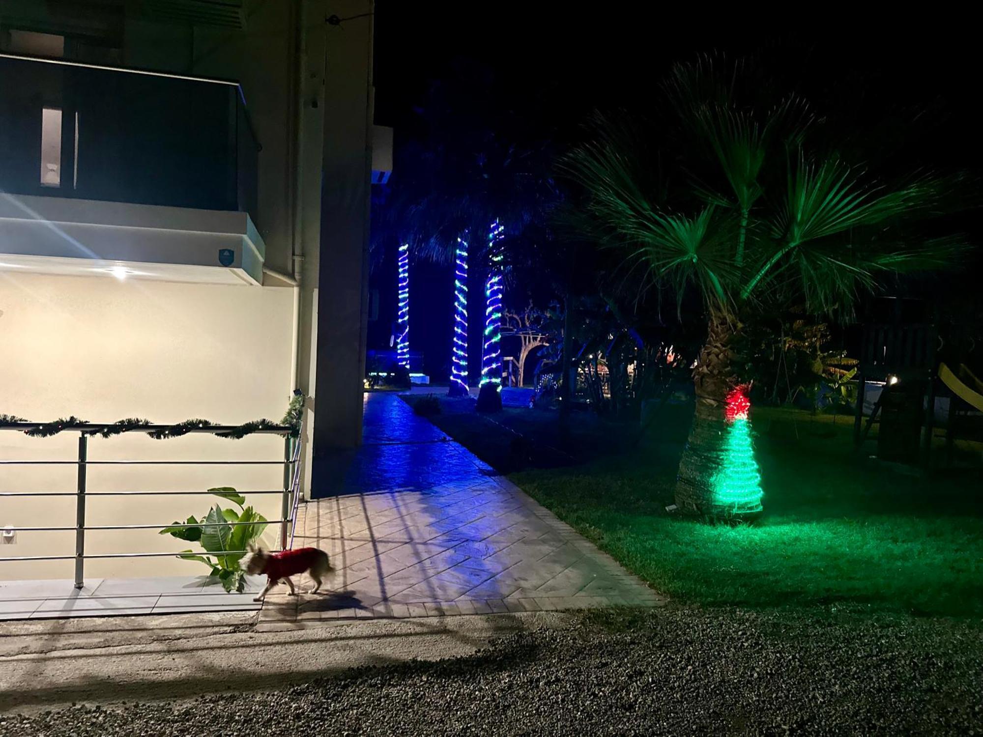 Martimi Apartments - 200M From Drapanias Beach - Pool - Hot Tub - Sauna - Bbq Κίσσαμος Εξωτερικό φωτογραφία