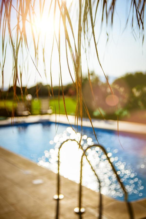 Martimi Apartments - 200M From Drapanias Beach - Pool - Hot Tub - Sauna - Bbq Κίσσαμος Εξωτερικό φωτογραφία